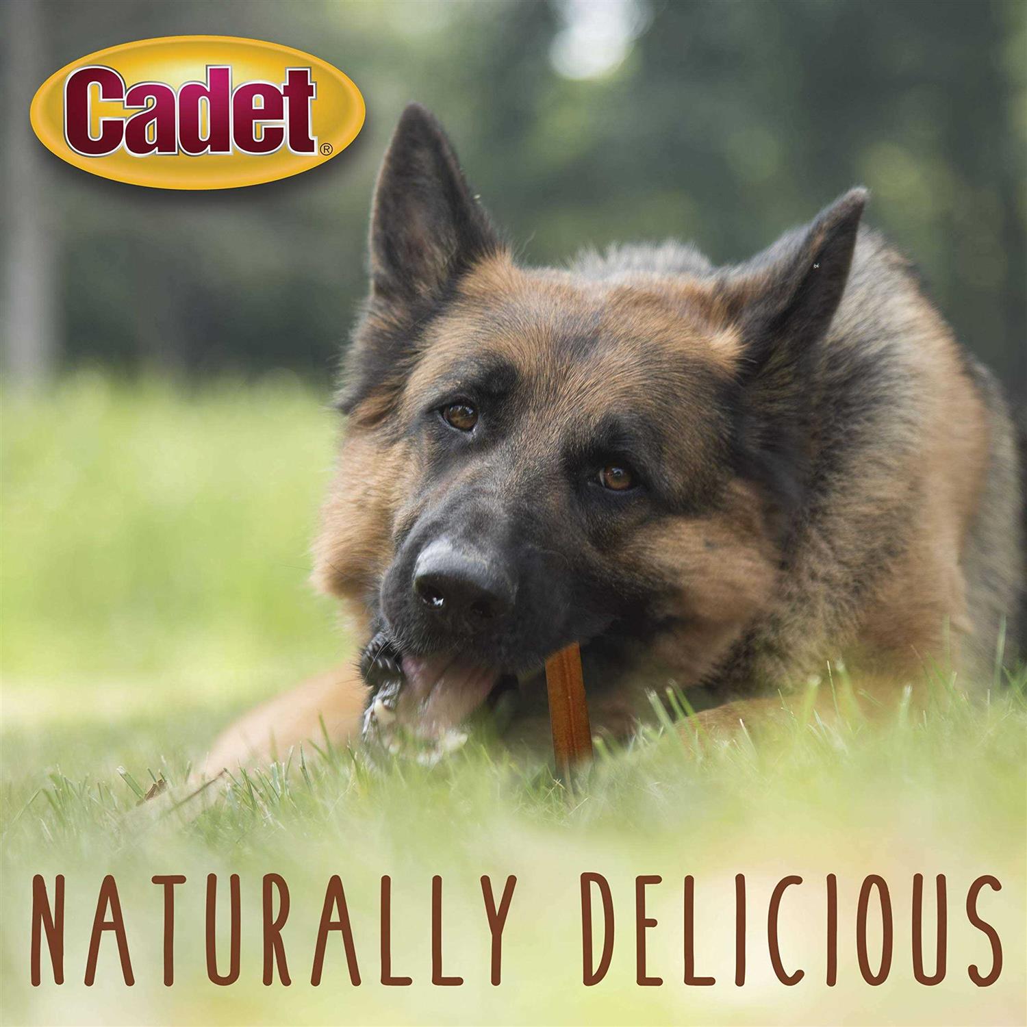 Bully Dog Sticks Treats X9454