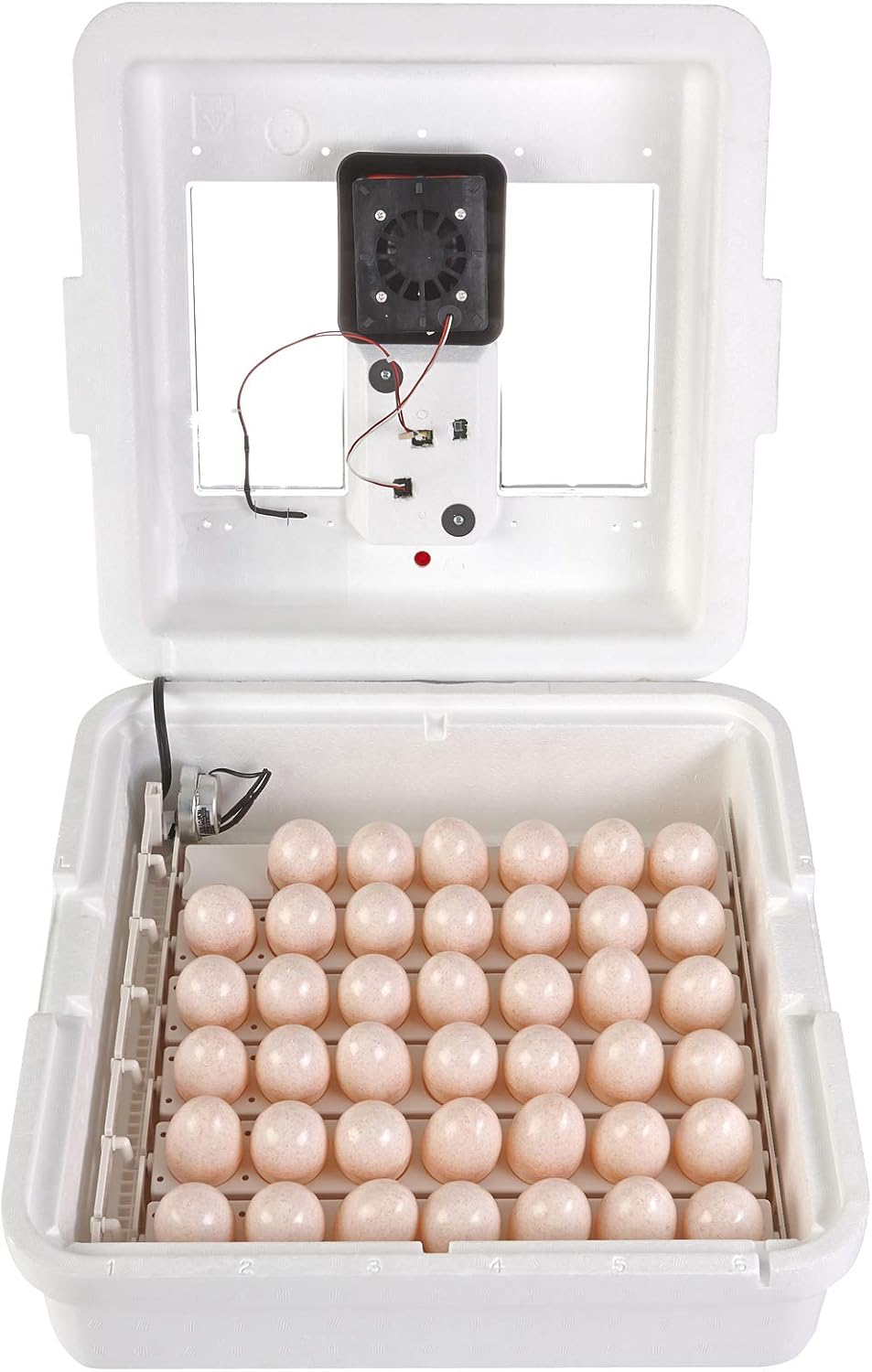 41 Egg Incubator with Temperature and Humidity Control R182