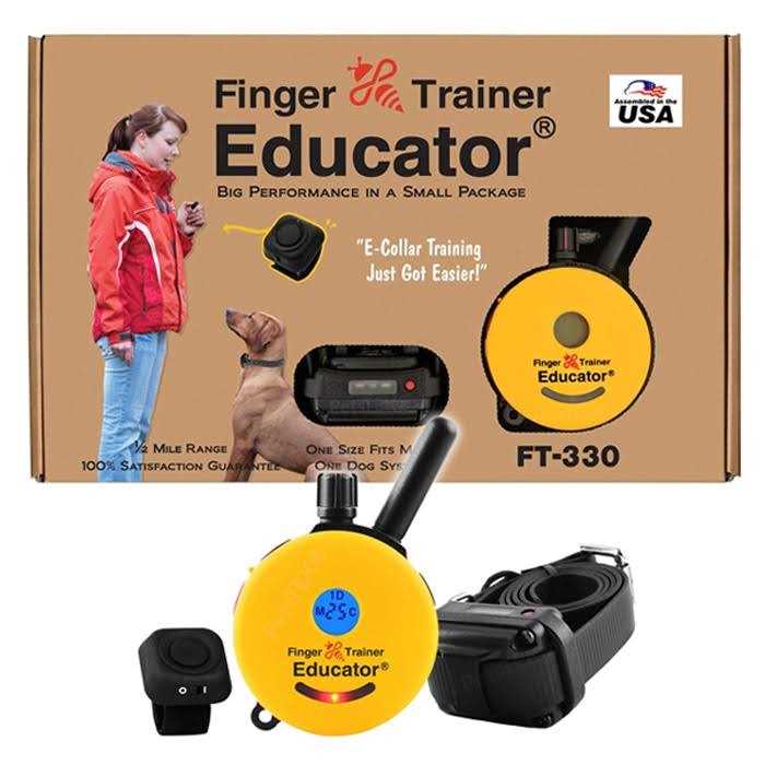 Remote Dog Training Collar with Vibration A552