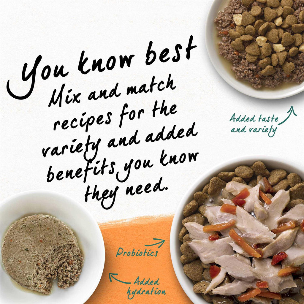 Grain Free White Meat Chicken & Egg Recipe Natural Dry Cat Food O69615