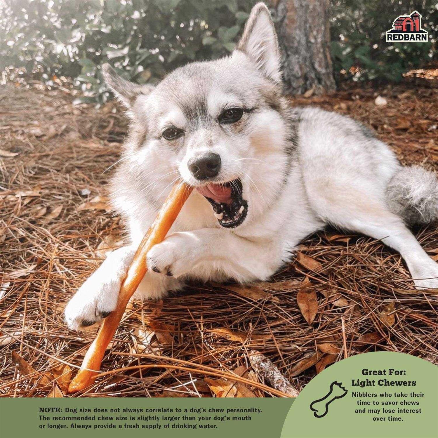 Redbarn Collagen Dog X678775