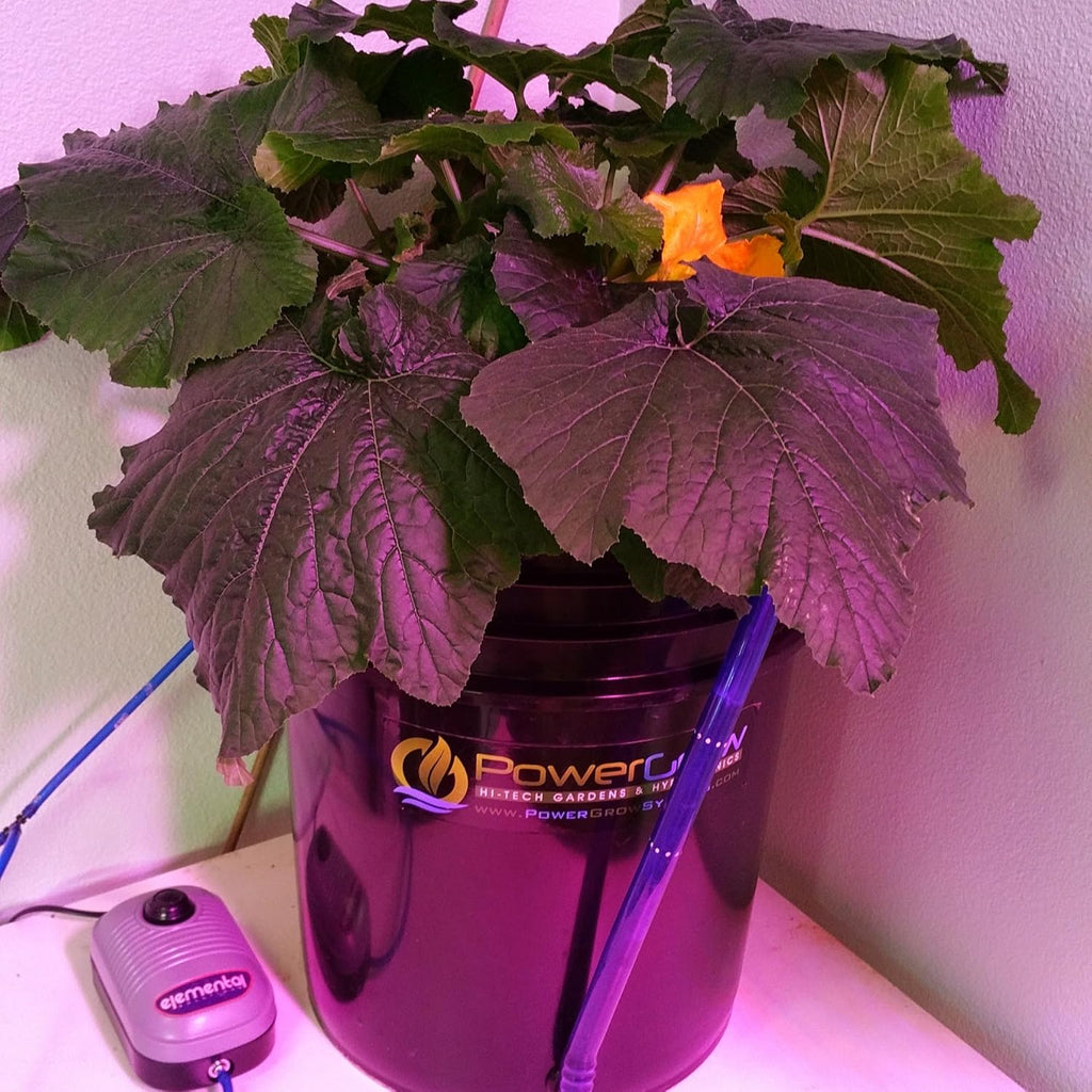 10 inch 5 Gallon Hydroponic Bucket Kit E10851