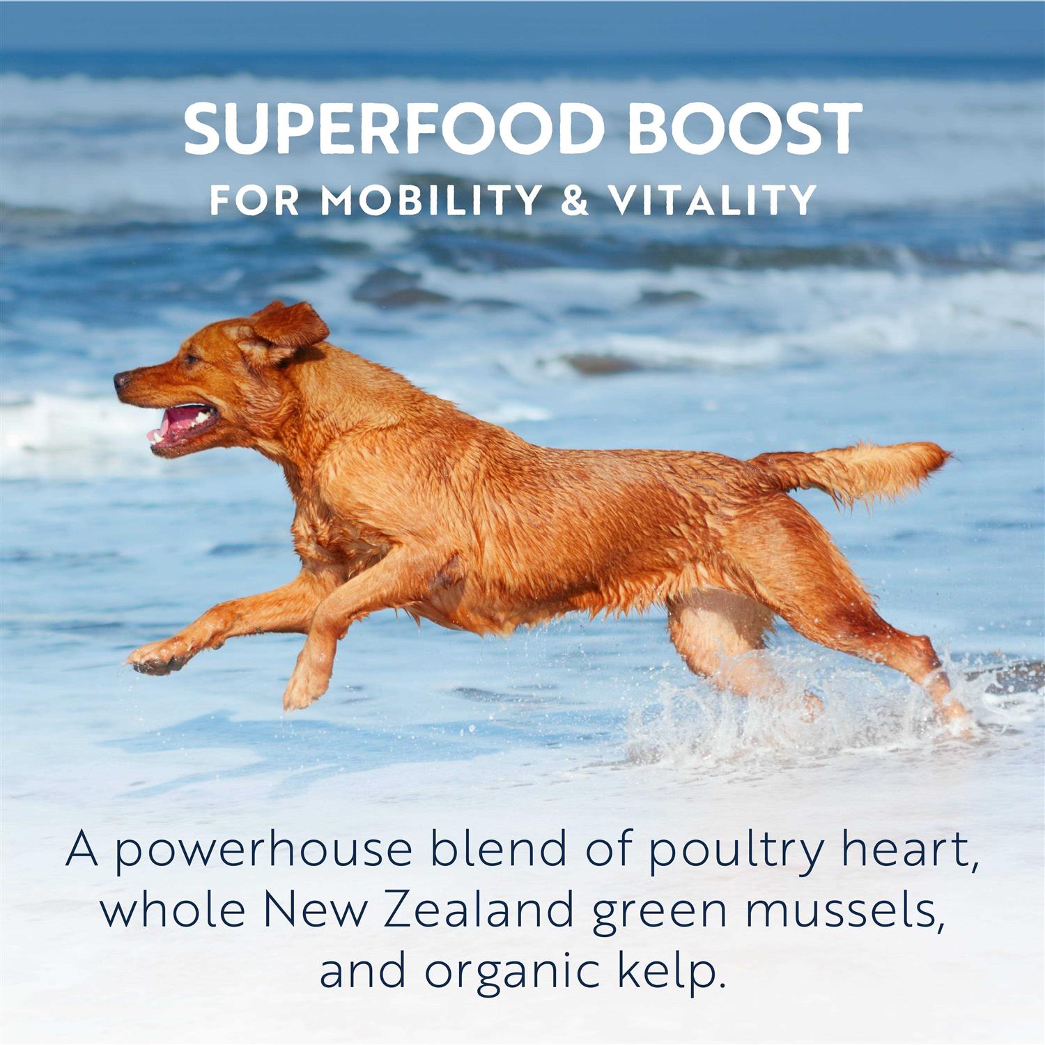 Air Dried Chicken Dog Food M6271