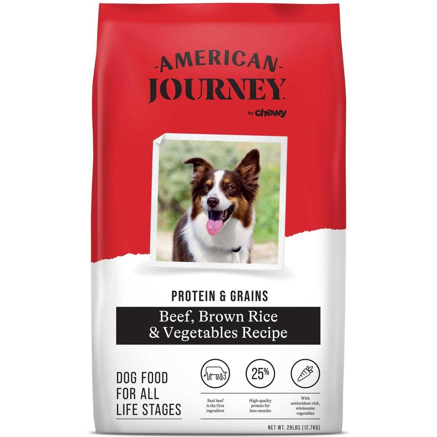 Brown Rice Protein First Recipe Dry Dog Food A24662