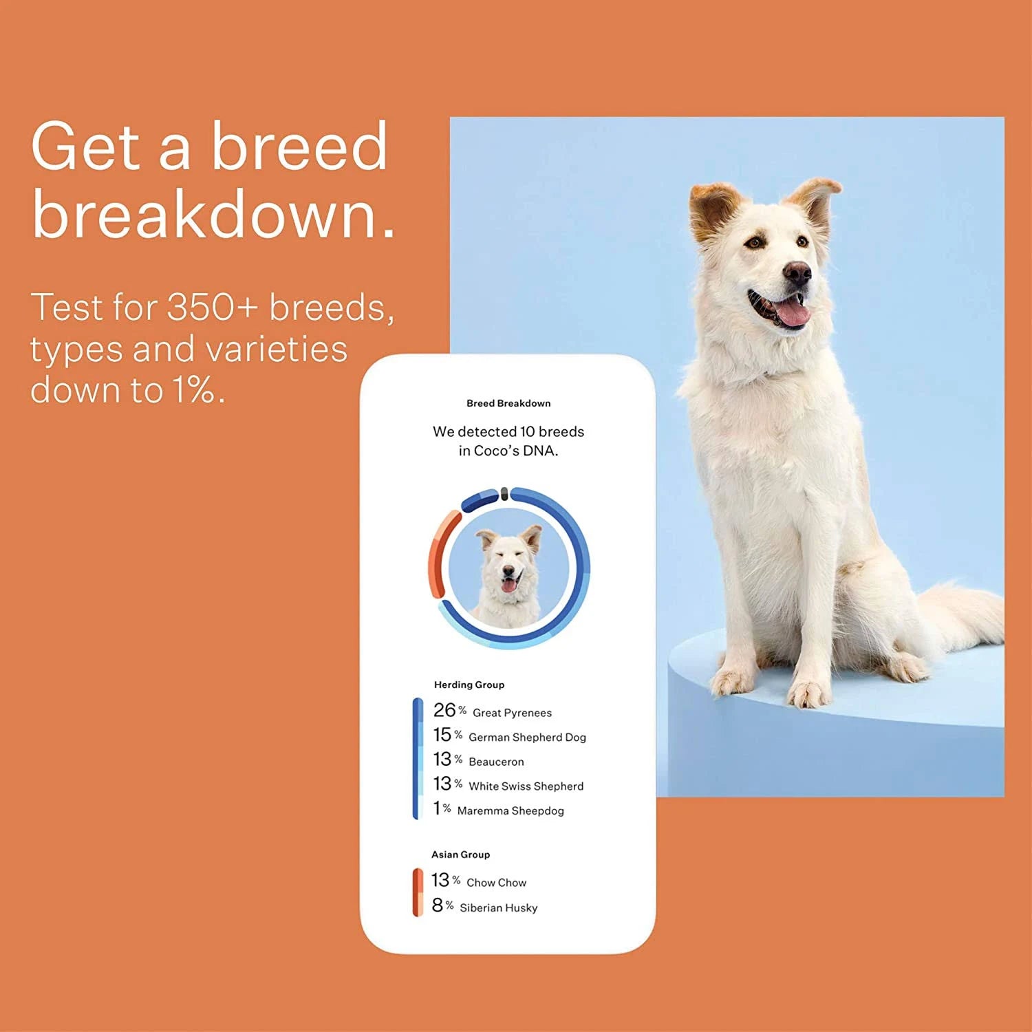 Dog Breed Identification DNA Test Kit Q431