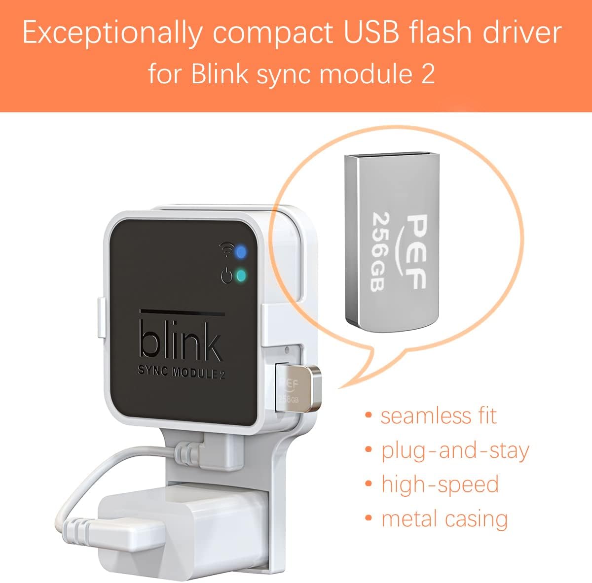 256GB USB Flash Drive for Blink Sync Module 2 W511