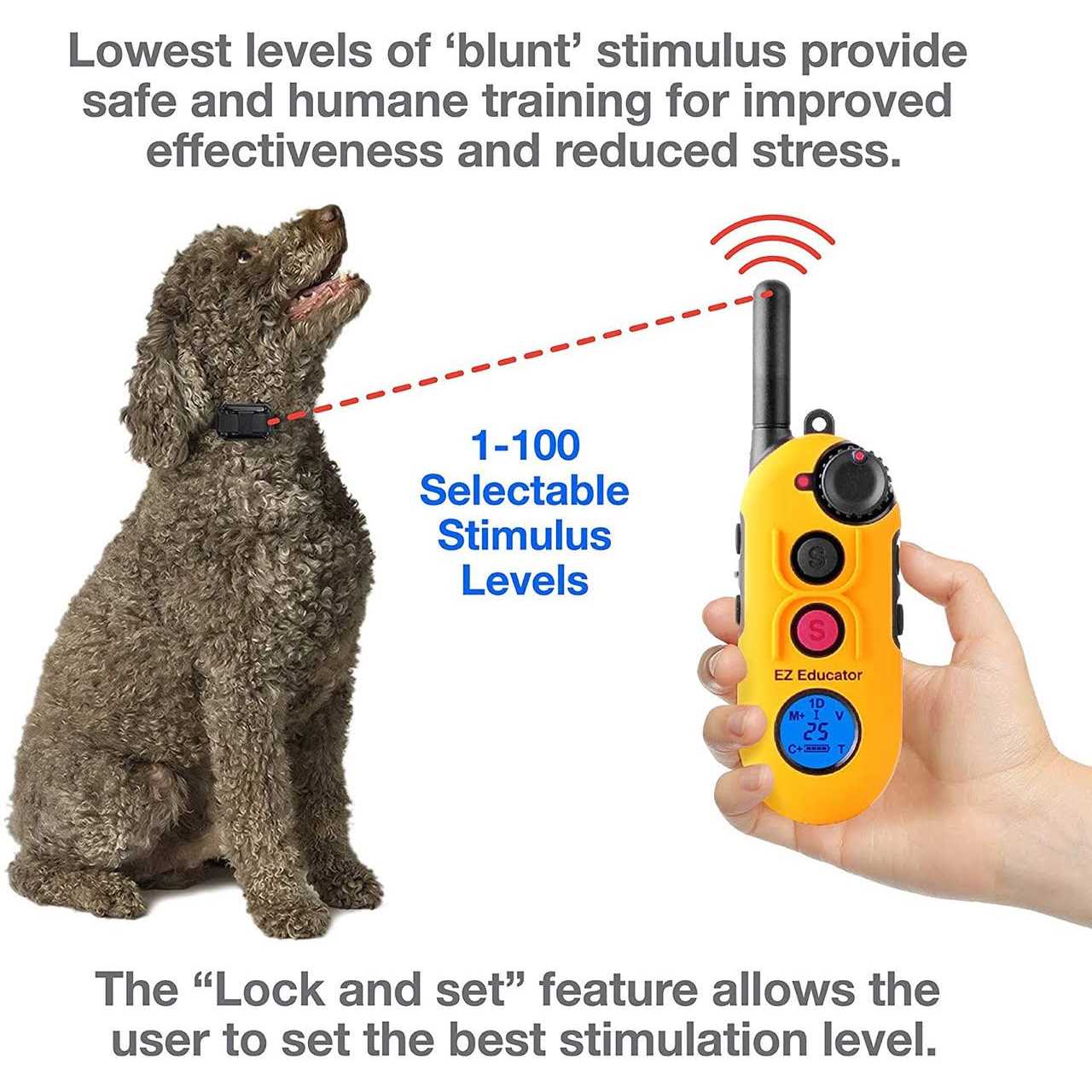 Remote Dog Training Collar with Vibration A552