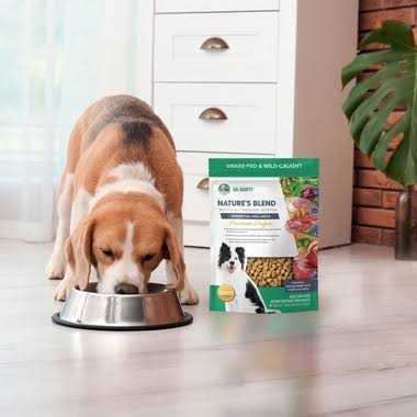 Freeze-Dried Dog Food Q649