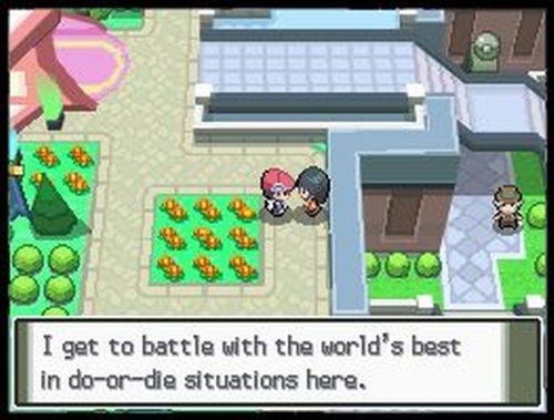 Pokemon Platinum Version D425