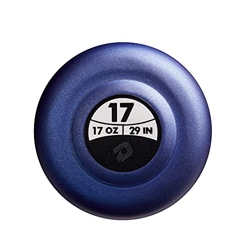 -12 Fastpitch Softball Bat A31544