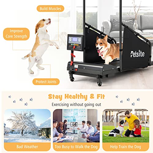 Dog Treadmill with LCD Display Screen, 220 LBS Y994208