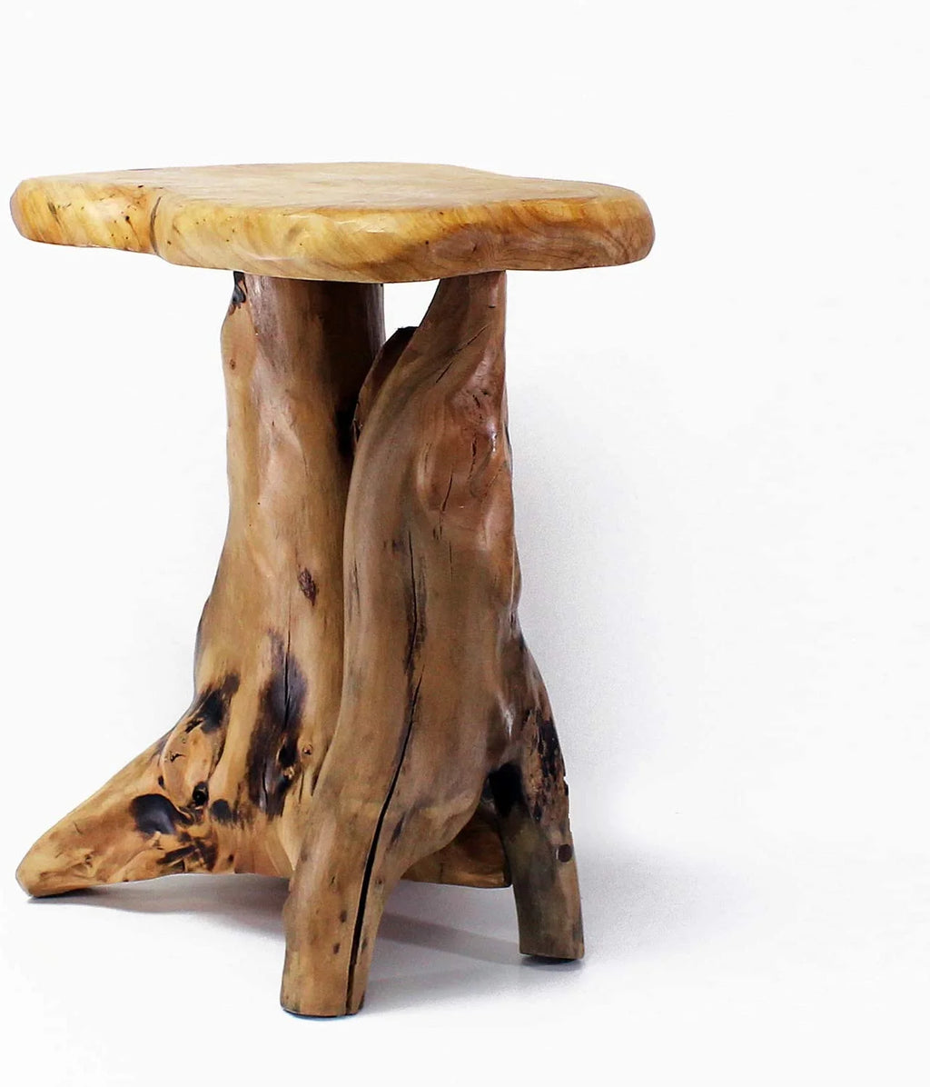 Tree Stump Side Table, 19" Tall W523842